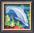 Dolphin Friend by Paul Brent Limited Edition Pricing Art Print