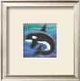 Orca Friend by Paul Brent Limited Edition Print