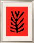 Feuille Noire Sur Fond Rouge, C.1947 by Henri Matisse Limited Edition Print