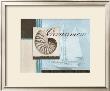 Scrapbook Shell I by Paul Brent Limited Edition Pricing Art Print