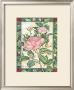 English Tea Rose by Paul Brent Limited Edition Pricing Art Print