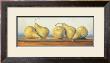 Pears Iii by Lucie Bilodeau Limited Edition Print