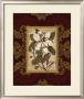 Magnolia Tapestry I by Mary Beth Zeitz Limited Edition Print