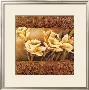 Golden Daffodils Ii by Linda Thompson Limited Edition Print