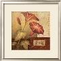 Asian Spice Iv by Mary Beth Zeitz Limited Edition Print