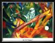 The Monkey by Franz Marc Limited Edition Pricing Art Print