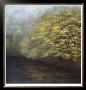 Misty River by Robert Striffolino Limited Edition Print