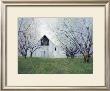 Orchard Blossoms by Ned Young Limited Edition Pricing Art Print