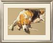 Hound In A Kennel by Andre Pater Limited Edition Print