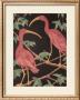 Scarlet Ibis Ii by Dan Goad Limited Edition Print