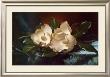 Magnolias On A Blue Velvet Cloth by Martin Johnson Heade Limited Edition Pricing Art Print