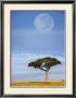Full Moon, Masai Mara, Kenya by Adam Jones Limited Edition Pricing Art Print