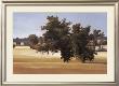 Montpellier Oak by Kent Lovelace Limited Edition Print