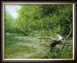 Fly Fisherman by Donny Finley Limited Edition Pricing Art Print