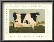 American Cow by Warren Kimble Limited Edition Print