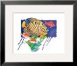 Regal Angel Fish by Paul Brent Limited Edition Print