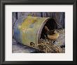 The Nesting Place by Jan Martin Mcguire Limited Edition Print