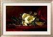 The Magnolia Flower by Martin Johnson Heade Limited Edition Pricing Art Print