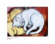 Cat On A Yellow Pillow by Franz Marc Limited Edition Print