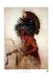 Pehriska-Ruhpa, Hidatsa Man by Karl Bodmer Limited Edition Print