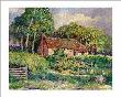 Garden Hideaway by Dawna Barton Limited Edition Print