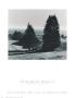 Pinetrees, Seashore by Ansel Adams Limited Edition Pricing Art Print