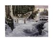 Wilderness Song by Alan Sakhavarz Limited Edition Pricing Art Print