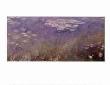 Water Lilies, Left Panel by Claude Monet Limited Edition Print