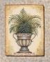 Tropical Urn I by Marla Limited Edition Pricing Art Print