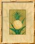 Sugar Loaf Pineapple by Paul Brent Limited Edition Print
