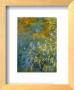 Yellow Iris by Claude Monet Limited Edition Print