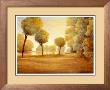 Three Trees by Richard Brandes Limited Edition Print
