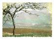 Landscape Of Giverny by Claude Monet Limited Edition Print