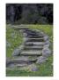 Stone Stairway And Dandelions, Great Smoky Mountains National Park, Tennessee, Usa by Adam Jones Limited Edition Pricing Art Print