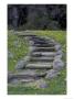 Stone Stairway And Dandelions, Great Smoky Mountains National Park, Tennessee, Usa by Adam Jones Limited Edition Print