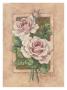 Rose Fresco by Barbara Mock Limited Edition Pricing Art Print