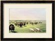 Hunting Buffalo Camouflaged With Wolf Skins, Circa 1832 by George Catlin Limited Edition Print