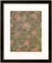 Rose - 93 Wallpaper Design by William Morris Limited Edition Pricing Art Print