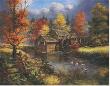 Glory Of Autumn by Rudi Reichardt Limited Edition Print