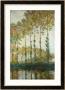 Poplars On The Epte by Claude Monet Limited Edition Pricing Art Print