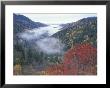 Foggy Valley From Morton Overlook, Great Smoky Mountains National Park, Tennessee, Usa by Adam Jones Limited Edition Print