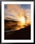 Bison Silhouetted At Sunrise As Old Faithful Erupts, Yellowstone National Park, Wyoming, Usa by Adam Jones Limited Edition Print