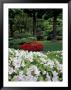 Azaleas In Japanese Garden, Portland, Oregon, Usa by Adam Jones Limited Edition Print