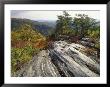 Boulder And Autumn Colors, Pine Mountain State Park, Kentucky, Usa by Adam Jones Limited Edition Print