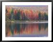 Mirror Reflection Of Autumn Colors In Mcallister Lake, Vermont, Usa by Adam Jones Limited Edition Print