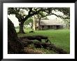 Johnson Homestead, Lbj National Historic Park, Johnson City, Texas, Usa by Adam Jones Limited Edition Print