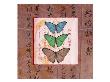 Butterflies I by Miguel Paredes Limited Edition Pricing Art Print