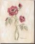 Miniature Rose Ii by Peggy Abrams Limited Edition Pricing Art Print