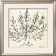 Buisson by Henri Matisse Limited Edition Print