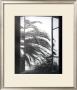 The Palm Tree by Henri Matisse Limited Edition Print